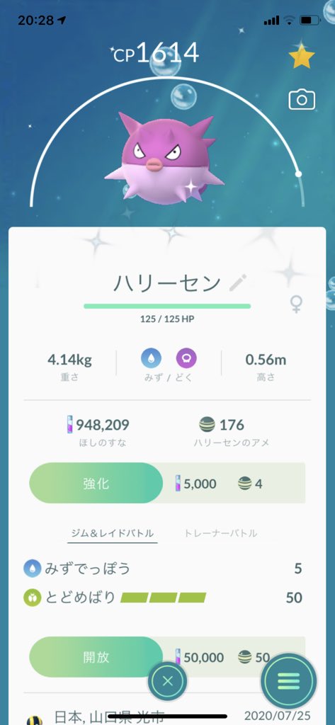 take_rem's tweet photo. フェスお疲れ様でした😊なかなか色違い出なかったけど、夕方ぐらいから何個か拾えました😊夜空に花火上がってるんだね♪綺麗😊 https://t.co/HfrMtrJsoS