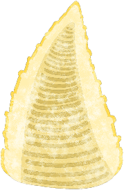 タケノコのtwitterイラスト検索結果 タケノコのtwitterイラスト検索結果