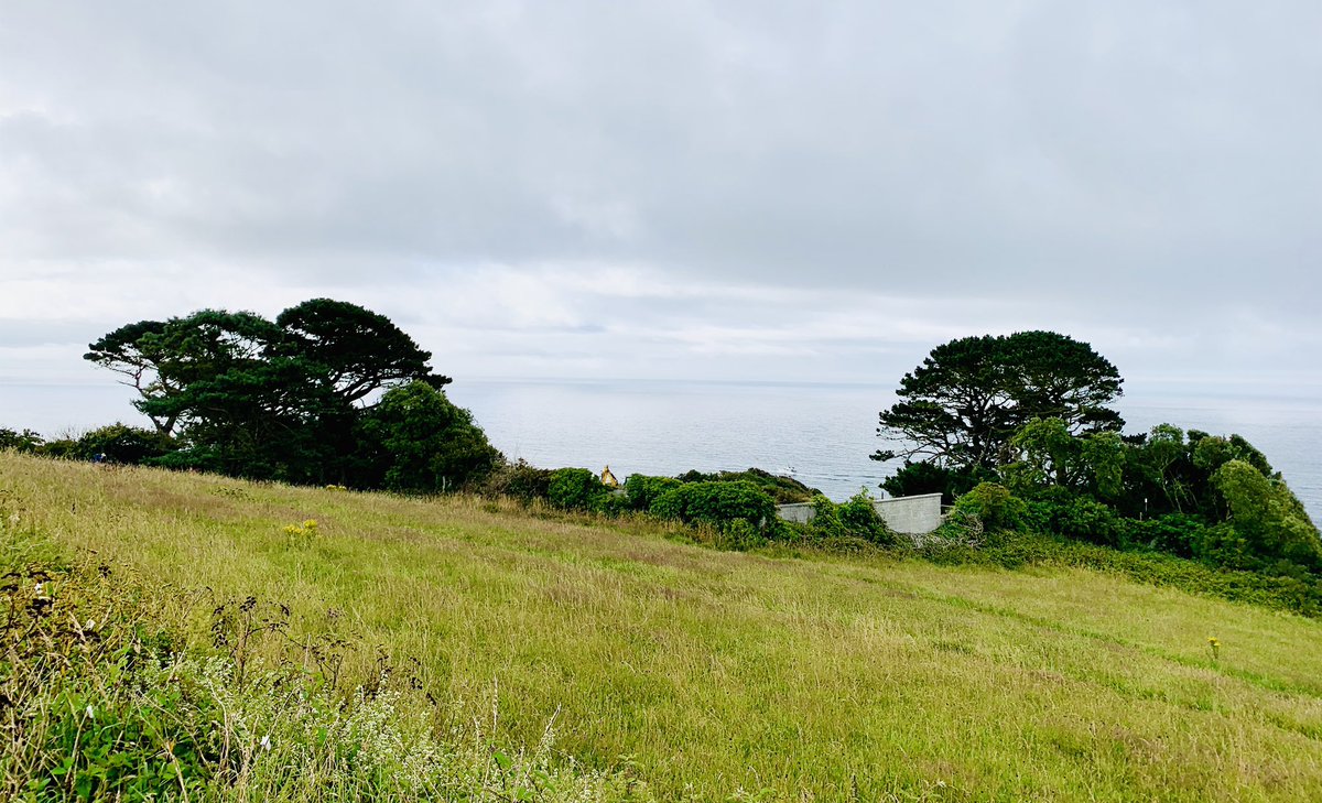 ADG Bespoke tweet media