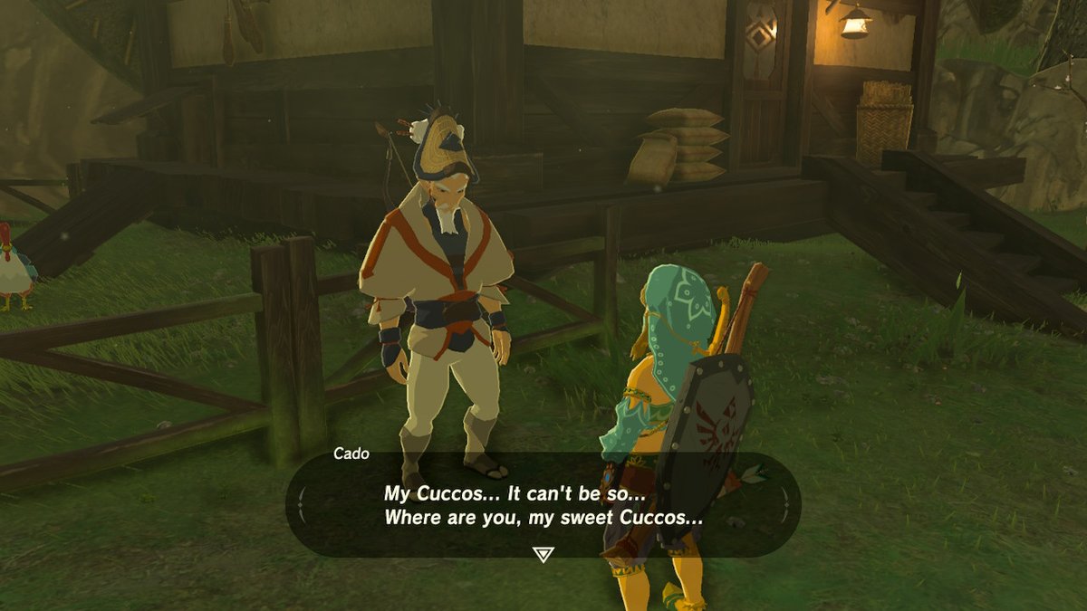 electrodreamy's tweet photo. #BreathoftheWild #NintendoSwitch https://t.co/ziNK6XAKf7