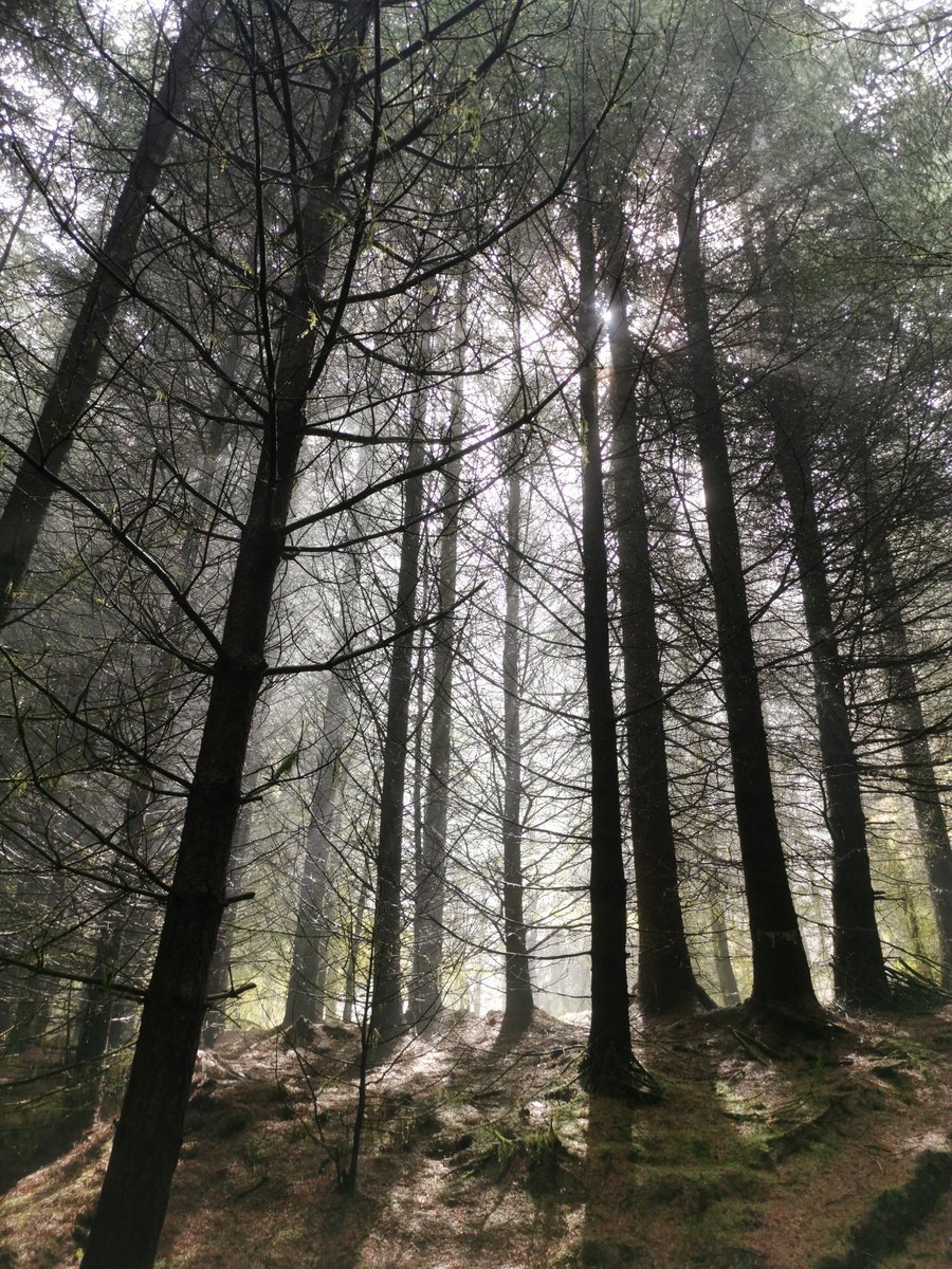 John Pritchard MBE MCPara BSc tweet media