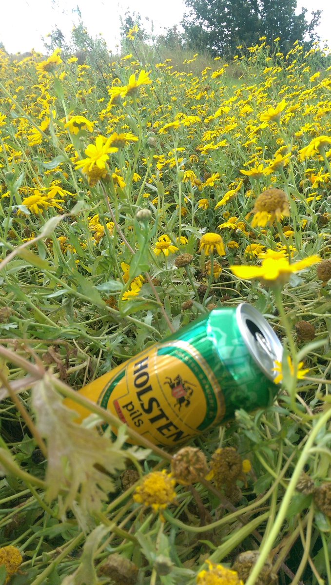 jonwild007's tweet photo. Not sure if the previous owner of this can was cognisant of the tasteful and harmonious blend of colourways that he/she had created? #meadow #lagerlouts #litter #Artistic https://t.co/YBwvwL3TAu