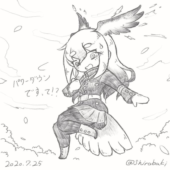 #けものフレンズ
ハクトウワシ、「ジャスティスウィング」NGシーン的な。
「相手を素通り、してますわ!」
「えっ?」 