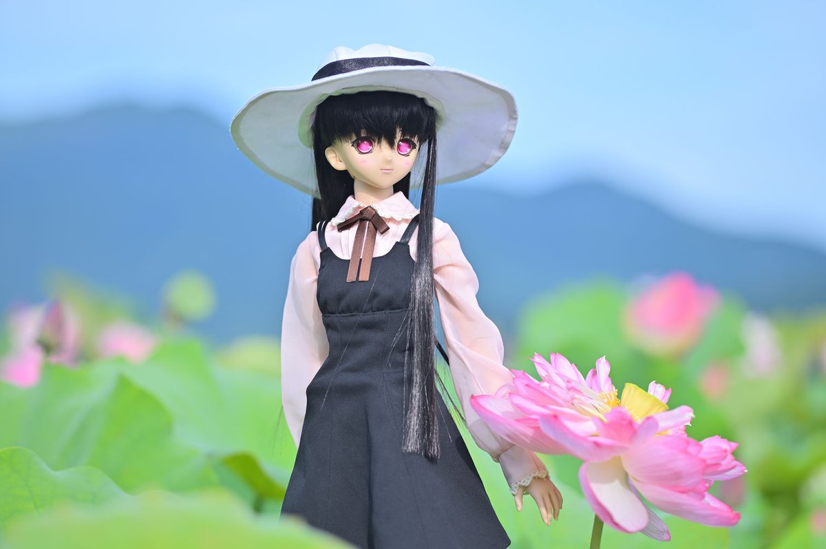 白河さやか Twitter Search