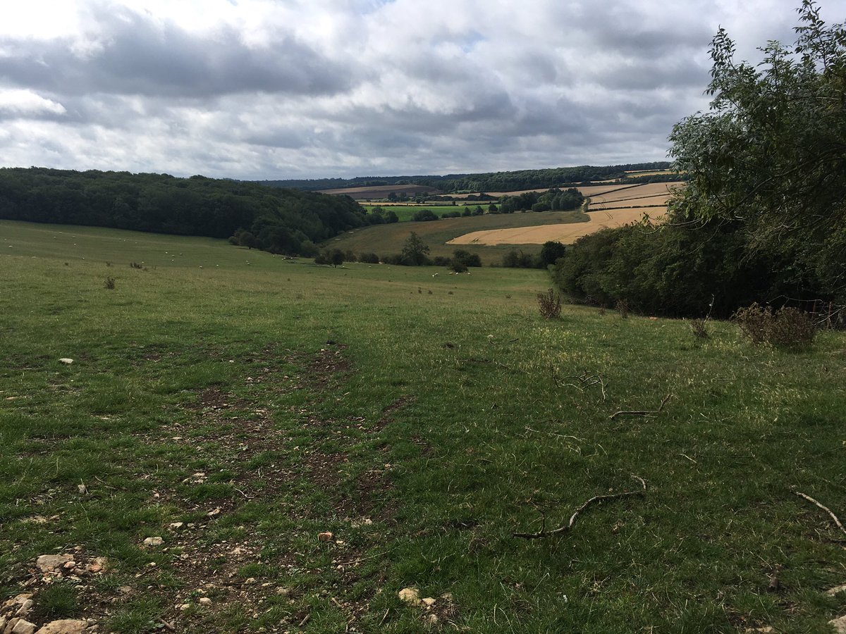 Puffed my way up that hill. Completely worth lungs being on fire for that view. Happy Saturday everyone ☺️<a href="/FarmRunnerUK/">Farm Runner</a> #farmrunner #rutland