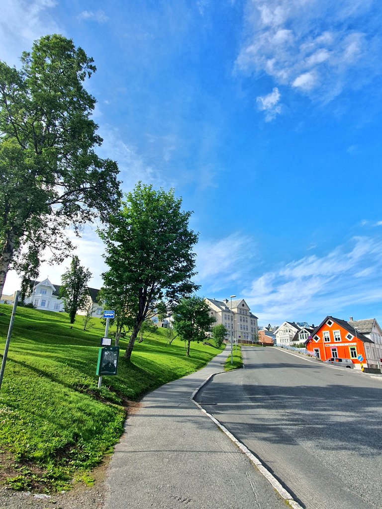 rykarlsen's tweet photo. Waiting for a bus in Norway sometimes be like: https://t.co/GVCHl0mas9