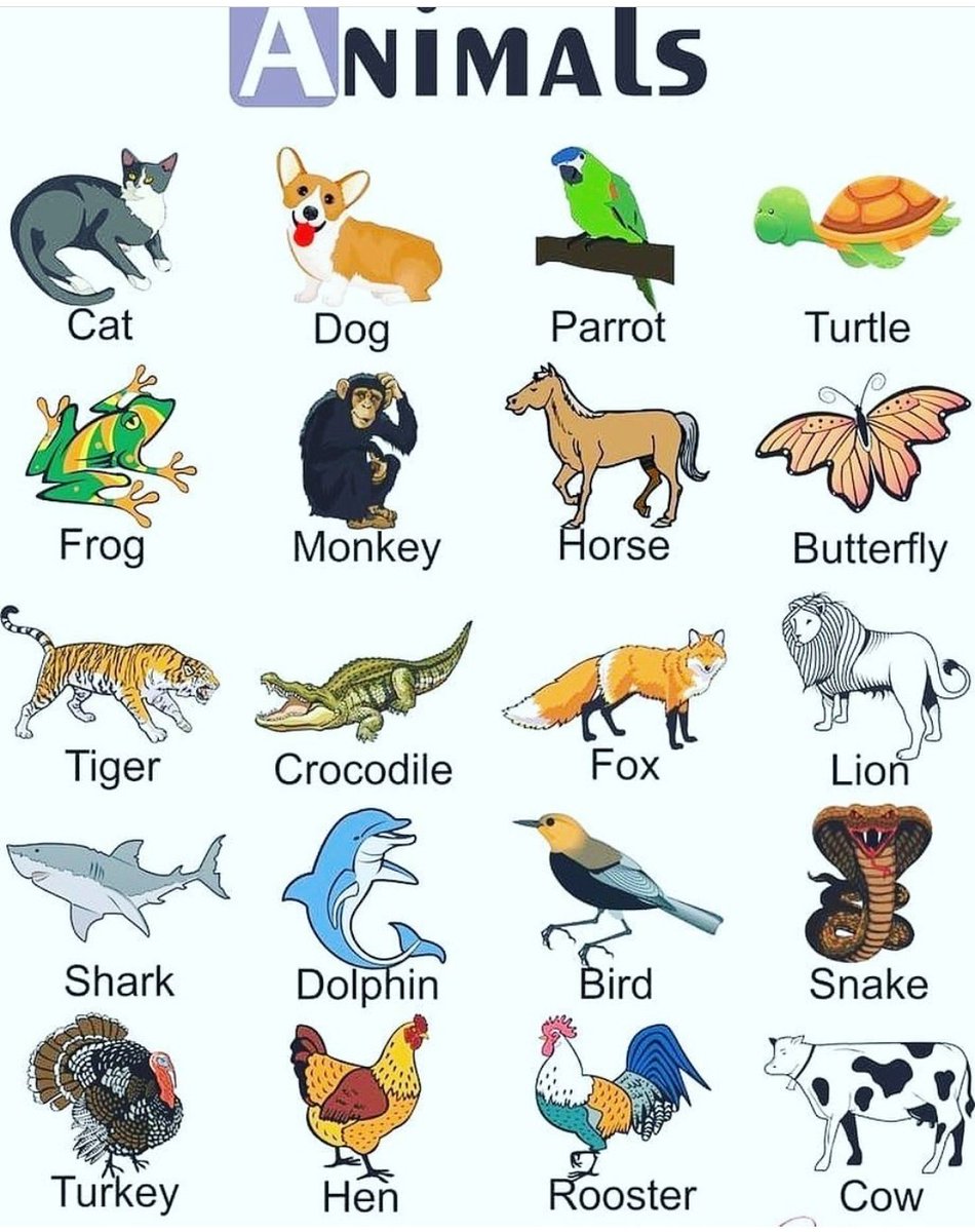 kendryvandieppa's tweet photo. Aprendiendo inglés . Dedica tiempo y verás resultados. #English #ingles #clasesdeingles #aprendiendoingles #englishteacher #english_clip #LESSON #inglespractico #englishvocabulary #FelizSabado #25deJulio #Twitter #Instagram #tiktokchallenge #Facebook #youtubeismyteacher #animals https://t.co/2CZvbAhhSv