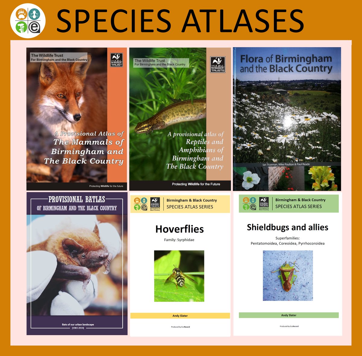 EcoRecording's tweet photo. Over the years EcoRecord have helped to produce several atlases of the wildlife of Birmingham and the Black Country.  

You can download or order them all here: https://t.co/yn5uk3ME4b https://t.co/BjqbFHnjbs