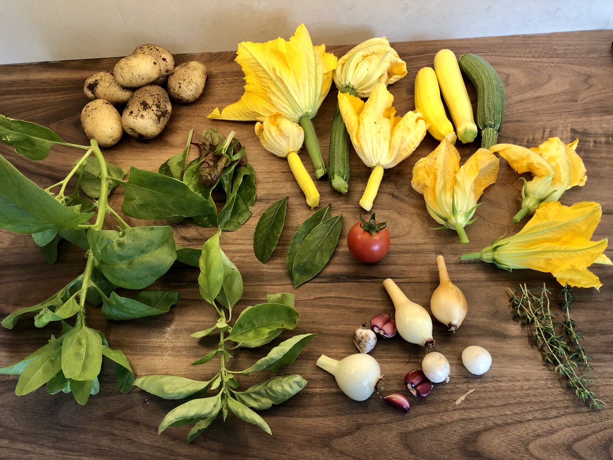 NIFoodie's tweet photo. Some haul from the garden today! Courgettes, spuds, spinach, chard, basil, bay, tomato, garlic, onion, thyme. Feast later #gyo #citygarden #firsttomato https://t.co/NkQPGA3QQV
