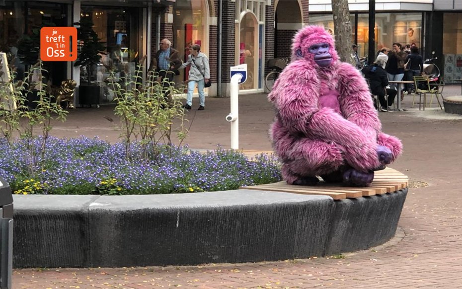 CMJackOss's tweet photo. Vanmiddag tref je deze roze gorilla aan in het centrum van Oss en morgenmiddag tijdens de open zondag vier hartendames! #straattheater #jetrefthetinoss #centrumoss #openzondag https://t.co/qzQkKtTAEu
