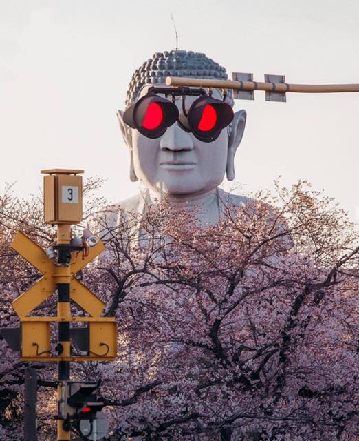ShaneMoxey's tweet photo. Buddha with infrared goggles. https://t.co/DEvhX2tRwQ