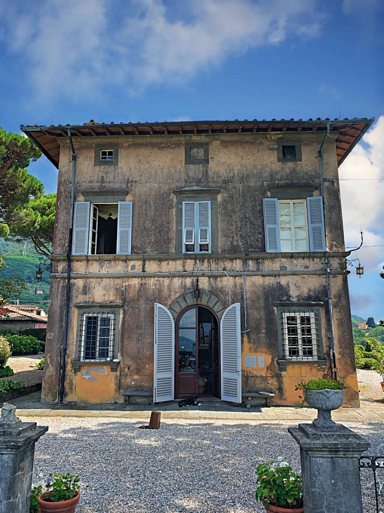 grapetrotter's tweet photo. Visiting Tenuta Di Valgiano an 18th century Tuscan paradise wine 🍷 estate surrounded by palm🌴 trees, many different fruit 🌲 and 30 ha of forest 🌳!  https://t.co/o8dH4vb1GF https://t.co/w8dgXF7dGr