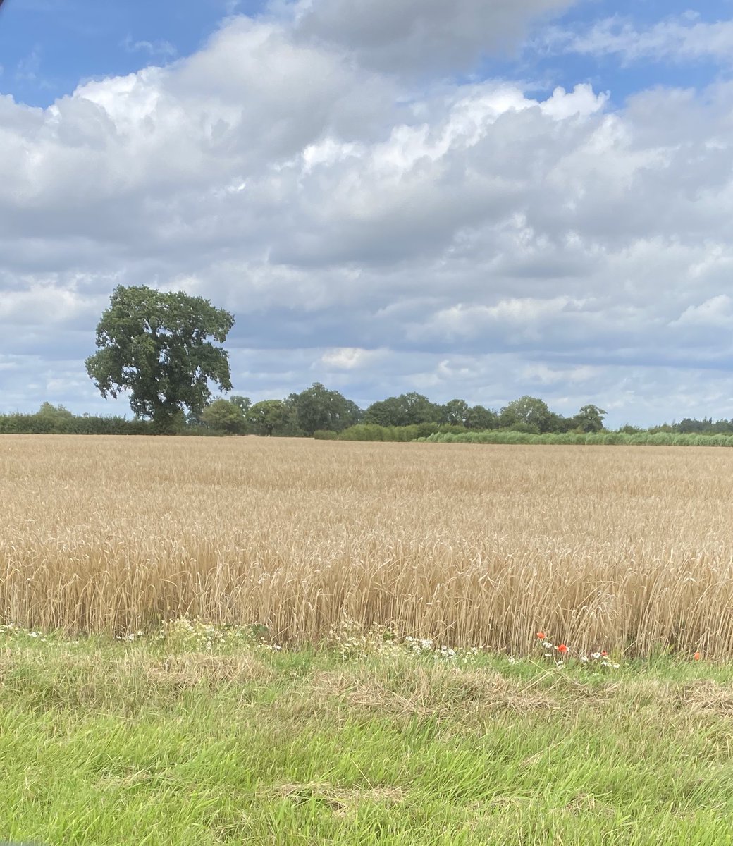 Hollieb8's tweet photo. COUNTRYSIDE ROAD TRIP 🚗 

Can’t wait to be surrounded by only fields and nature in our new house 🏡 Really enjoyed cruising this morning, even better that I was able to take my pocket office... working from anywhere and LIVING THE DREAMMMM! 

#PrincessMovement https://t.co/aoPgqQmcMN