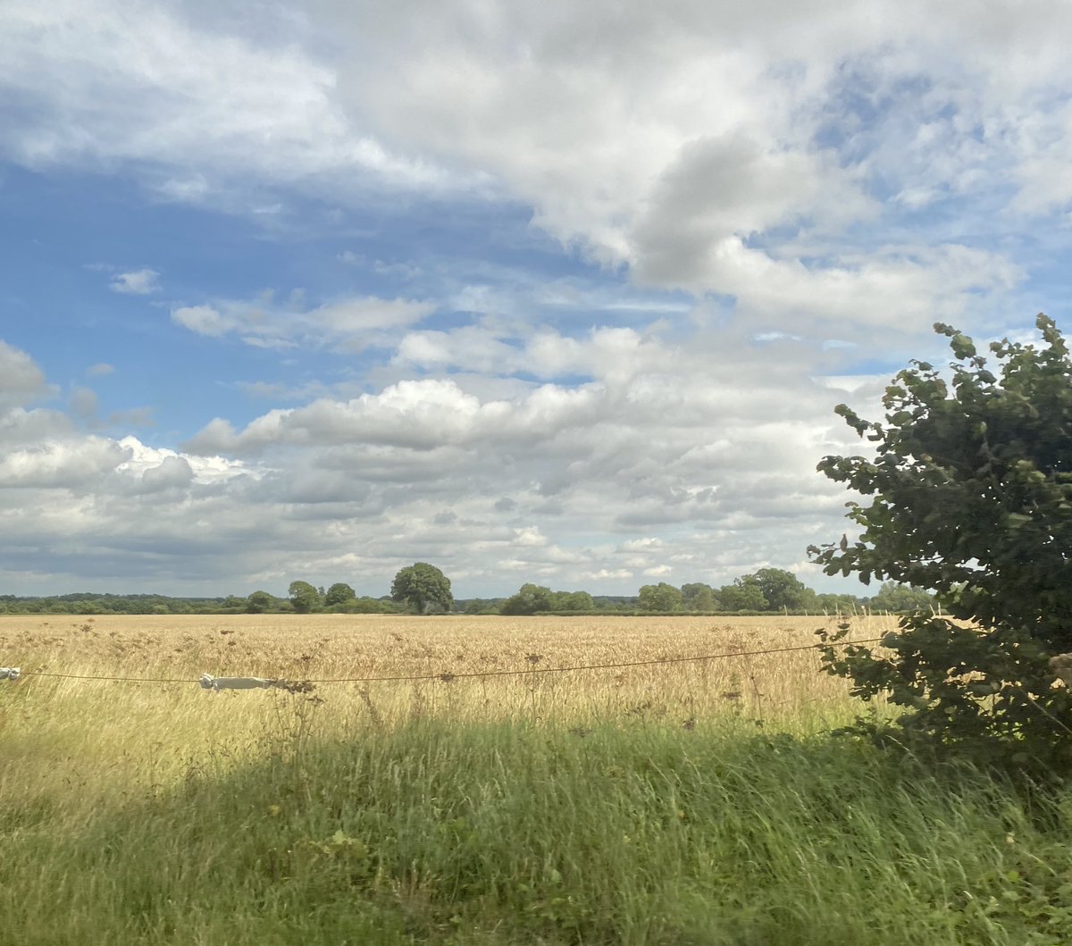 Hollieb8's tweet photo. COUNTRYSIDE ROAD TRIP 🚗 

Can’t wait to be surrounded by only fields and nature in our new house 🏡 Really enjoyed cruising this morning, even better that I was able to take my pocket office... working from anywhere and LIVING THE DREAMMMM! 

#PrincessMovement https://t.co/aoPgqQmcMN