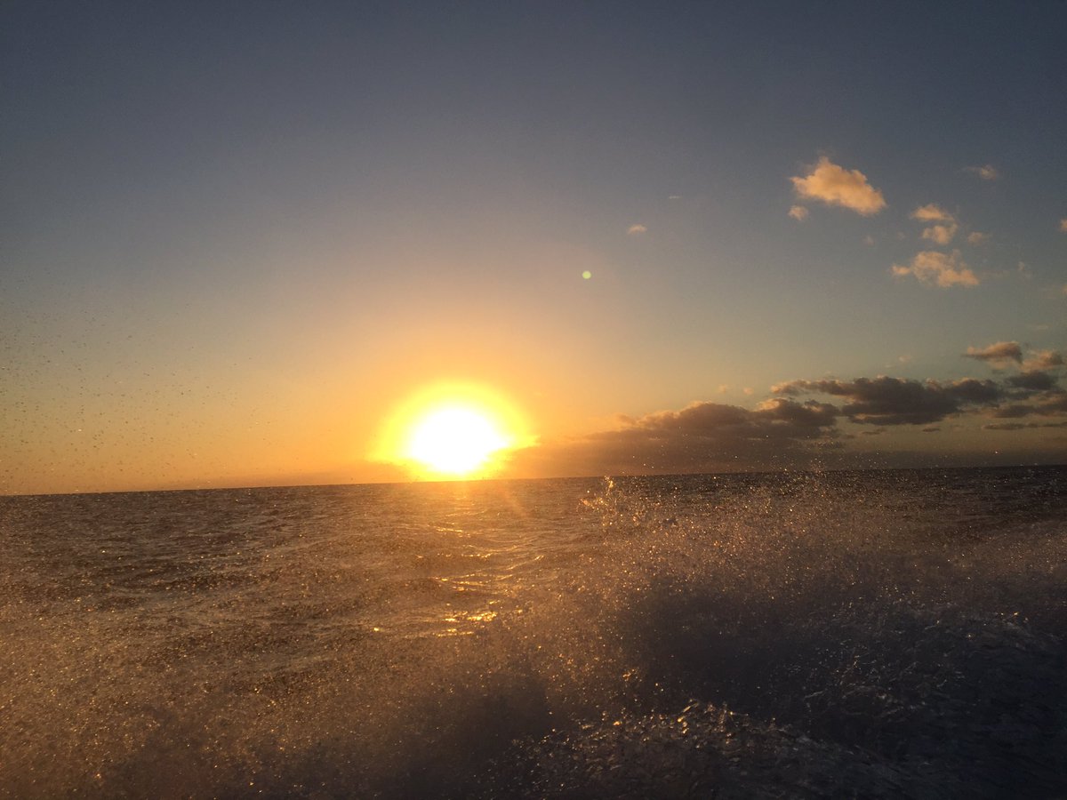 Teinauri6's tweet photo. Traverser kweenyii à Nouméa en petit bateau.
#kweenyii #nouvellecaledonie #traversé #sunset https://t.co/uwCO625cJz