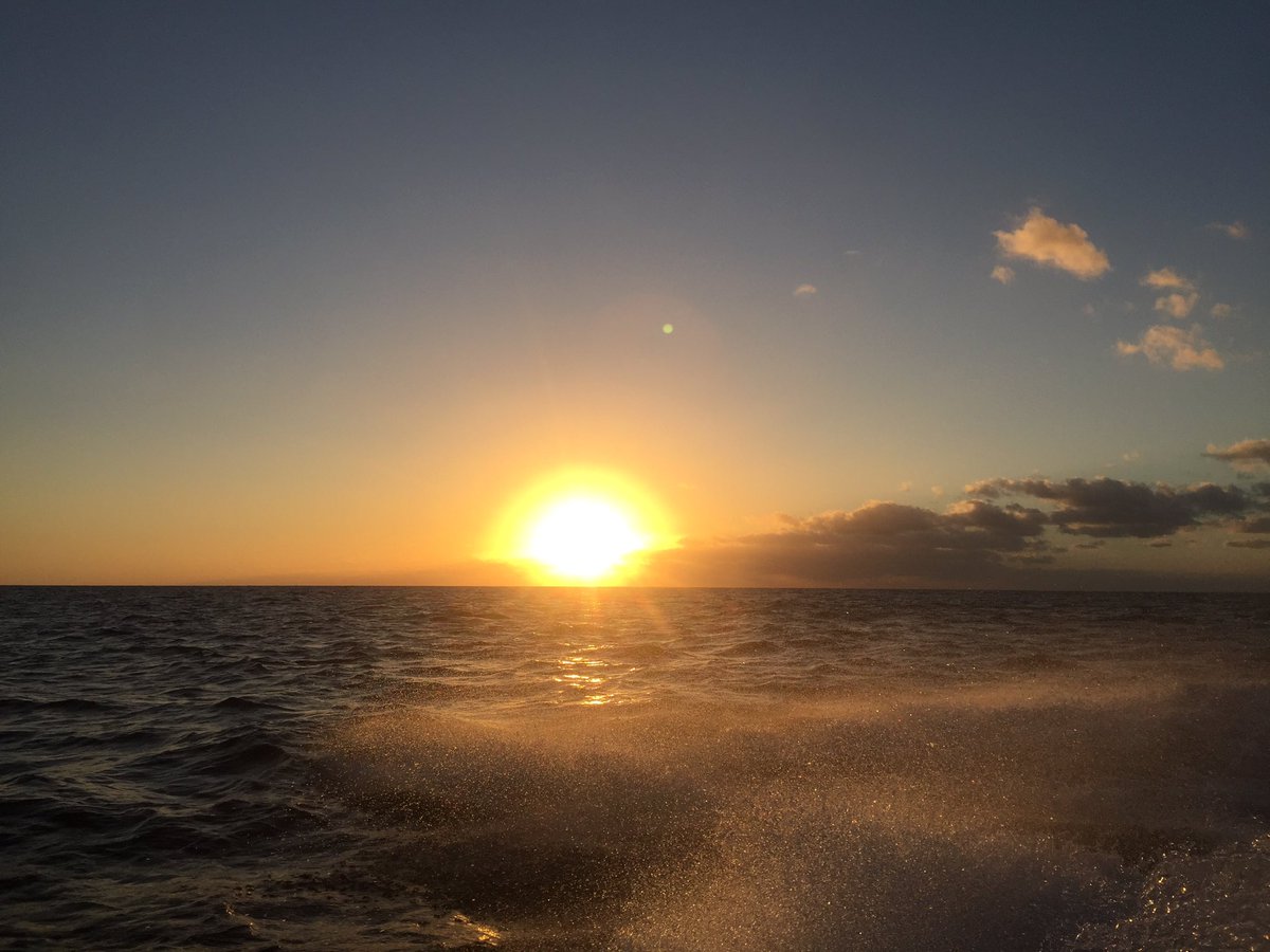 Teinauri6's tweet photo. Traverser kweenyii à Nouméa en petit bateau.
#kweenyii #nouvellecaledonie #traversé #sunset https://t.co/uwCO625cJz