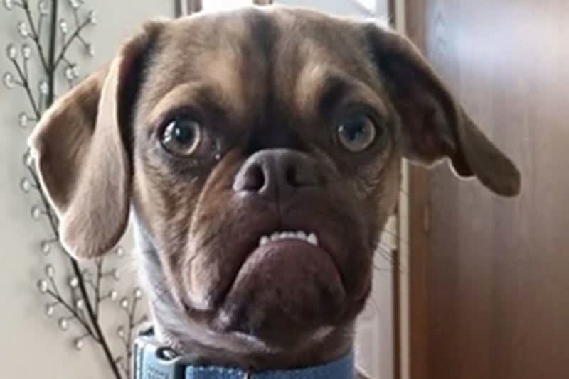 worldgrumpy's tweet photo. https://t.co/6FqF0Zp4TQ