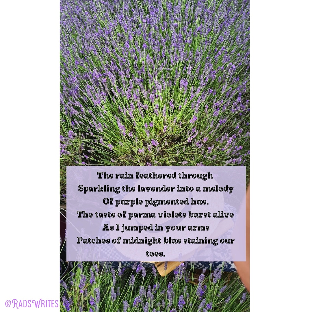 RadsWrites's tweet photo. Yesterday I went for a beautiful walk around the resplendent  @HitchinLavender fields 💜
Here are some words inspired from my visit ✍🏽💜
#radswrites #poetry #poem #lavender
https://t.co/gxHjLNlB8w https://t.co/rkQ268uaey