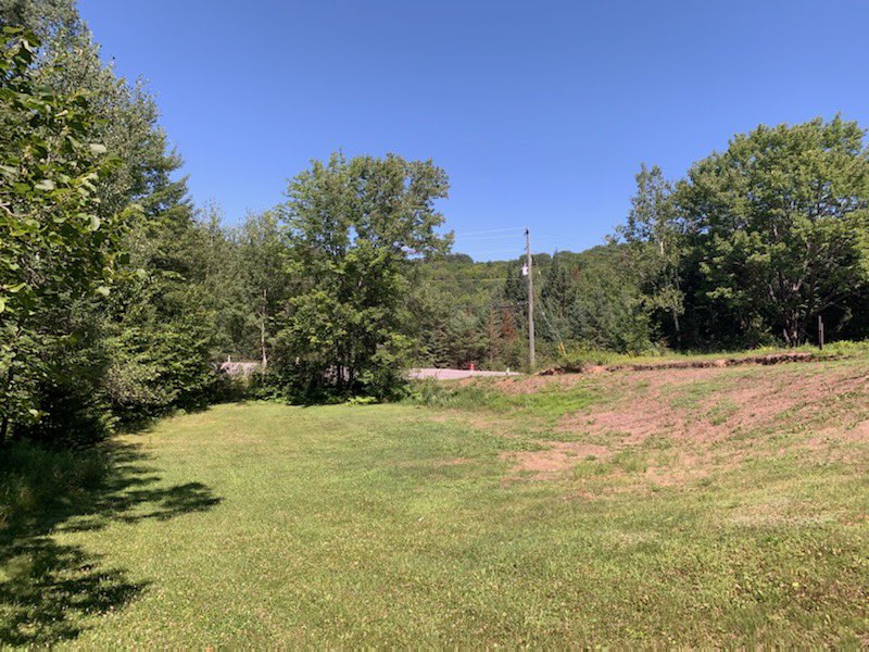 sellwithcorrie's tweet photo. Just Listed
MLS #276302
Price $89,000.
Beauty lot with a cute little cabin on just under an acre.1 bedroom,1 bath and kitchen.Drilled well and septic.Looking for an escape from the city or build your dream home
#justlisted🏡 #ListMoore #forsale #realestate #hastings #houseforsale https://t.co/1mqBZ25YNG