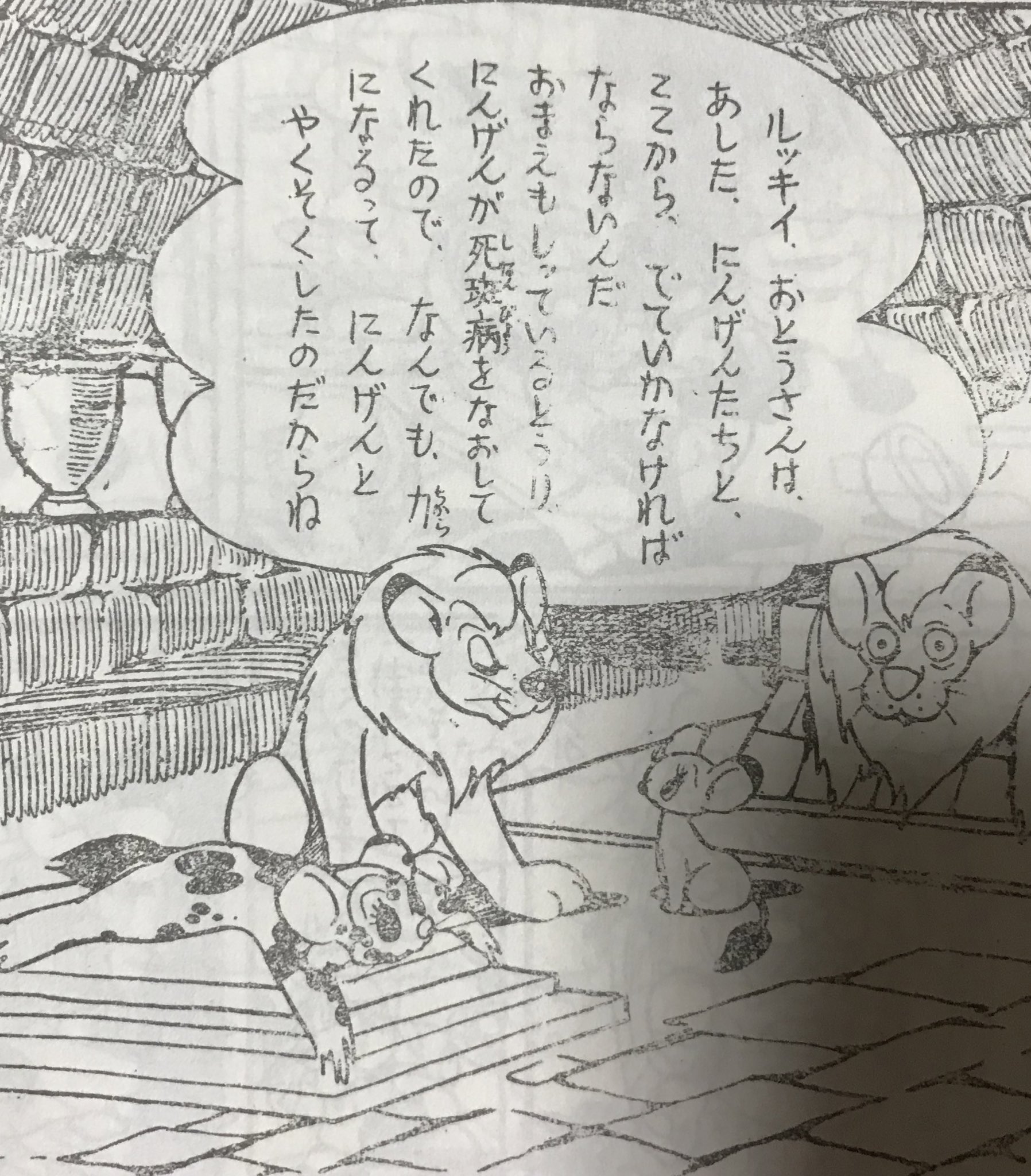 鈴木昭彦 ジャングル大帝 漫少版を読み返すとレオがルッキオに旅の話をする場面に死斑病のままの姿のライヤの毛皮が描かれていて衝撃的でした 当然全集なんかでは削除されています 人間たちの醜いナショナリズムを正すのはライオンのレオだというのも