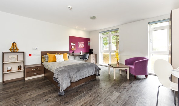 They are as rare as unicorns but we have ONE Gold Studio available for the 20/21 academic year! Don't miss out, make your booking today at studentroost.co.uk/locations/shef… or email cornerhouse@studentroost.co.uk 🦄🐓