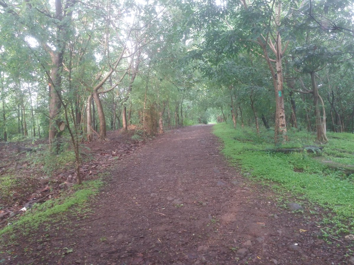 ash4intelways's tweet photo. #morningwalk #everyday road less travelled by #everyday #etherreal #green #fresh #mornings #tranquility #sanity #nature #heavenly #hills #sahyadri #maharashtra #pune https://t.co/Yh7PtD8KIN