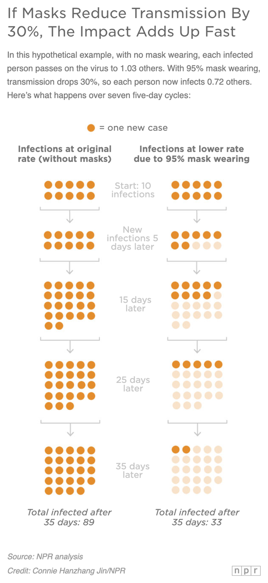NPR's tweet image. Researchers analyzed the data from every study on the protective effect of masks. 

Their bottom-line estimate: If 95% of people wear cloth masks, it reduces transmission by at least 30%.

With this example, here&apos;s what happens over seven 5-day cycles 👇
trib.al/J5UZfeG