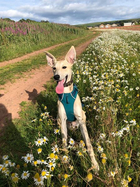 Zena Conkey tweet media