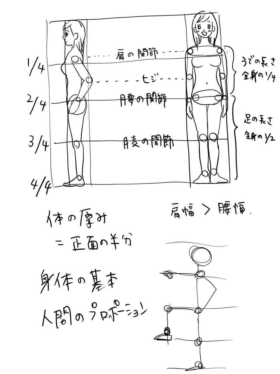 今日のイラスト練習。

「マンガ超初級講座」より、「身体の基本」です。
これは何回も描いて覚えるしかない!!
でも知ってるだけでいろんなポーズ描くの怖くなくなるなー!?

#コルクラボマンガ専科 