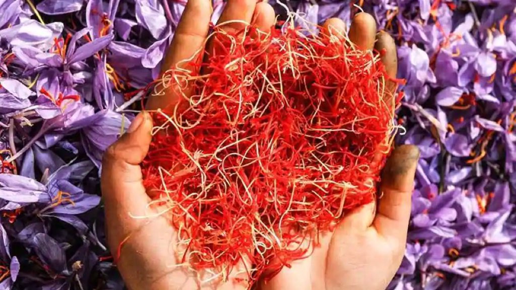 rehanmir77's tweet photo. Historic development.... kashmiri saffron got GI tag...... along with alrdy existing geographical indicator “pashmina shawl” saffron also got this this tag. This is good for saffron growing community in Kashmir .....! #saffron #GItag #geographicalindicator https://t.co/BIN4toVOmy