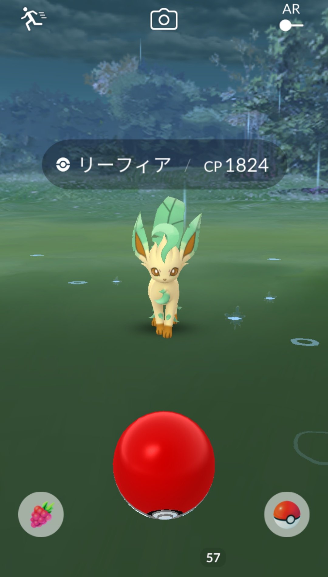 かっちゃん ポケモンsv進行中 今日ポケモンgoで野生では初めてゲットしたポケモンその1 リーフィア ハイボとズリを3個ずつ使ってゲットしました 通常時はイーブイをハーブルアーのところで 進化させるとゲットできるポケモン グレイシアも何か かっちゃん ポケモンsv進行中 今日ポケモンgoで野生では初めてゲットしたポケモンその1 リーフィア ハイボとズリを3個ずつ使ってゲットしました 通常時はイーブイをハーブルアーのところで 進化させるとゲットできるポケモン グレイシアも何か