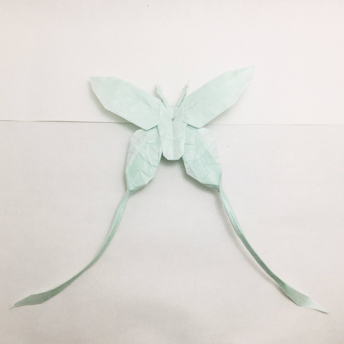 すぎぽよ ジェイソン クーさんのルナモス Luna Moth Designed By Jason Ku 30cm雁皮紙より From One Sheet Of Square Paper 難しいです W しわくちゃになってしまったのでまたチャレンジしたいです 折り紙作品 Origami T Co すぎぽよ ジェイソン クーさんのルナモス Luna Moth Designed By Jason Ku 30cm雁皮紙より From One Sheet Of Square Paper 難しいです W しわくちゃになってしまったのでまたチャレンジしたいです 折り紙作品 Origami T Co