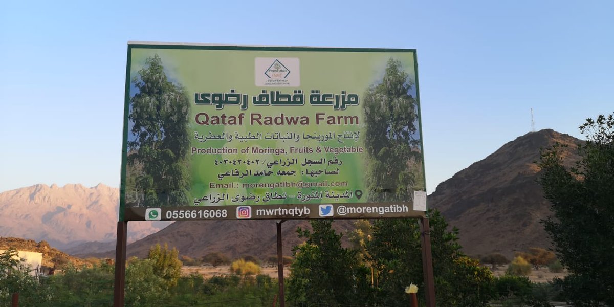 s51598178's tweet photo. #ينبع #ينبع_البحر #ينبع_النخل #ينبع_الصناعية #المزارع #العيون
مناظر خلابه في ينبعنا الجميله (رخو) https://t.co/bDGpn5swyw
