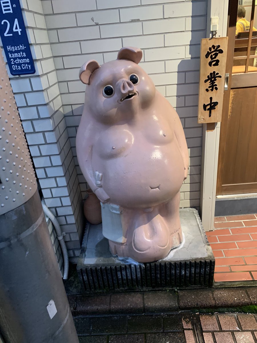 信楽焼の豚の看板。 家の近くにタヌキの信楽焼を魔改造され豚になったやつがおる。 この目