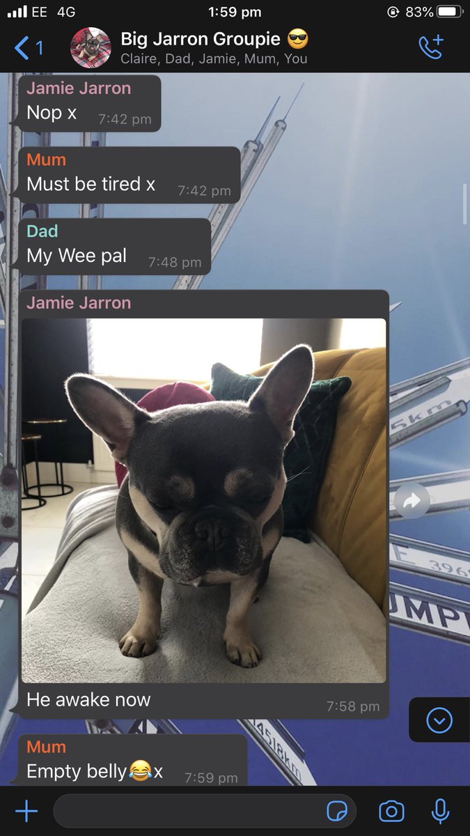 lannnyyy's tweet photo. My family group chat consists of sending pics of the dog when he’s with different family members, all dayyyyy everydayyyy #treatedlikeaking 🤴 🐶 https://t.co/y4nuyVyX4v