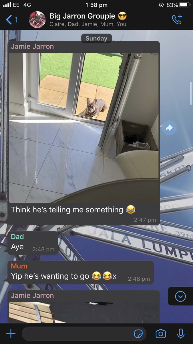 lannnyyy's tweet photo. My family group chat consists of sending pics of the dog when he’s with different family members, all dayyyyy everydayyyy #treatedlikeaking 🤴 🐶 https://t.co/y4nuyVyX4v