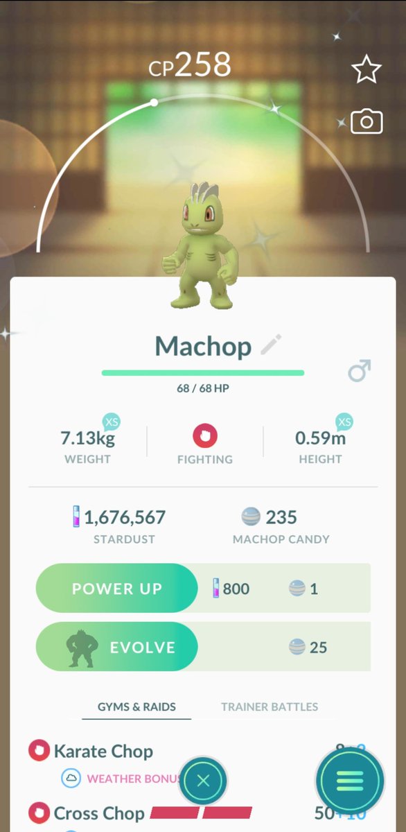 zombiethanos's tweet photo. All the Pokemon shinies caught today during #PokemonGOFest2020 Day 1
#PokemonGO #PokemonGOAsia https://t.co/jBiEDSB3jn