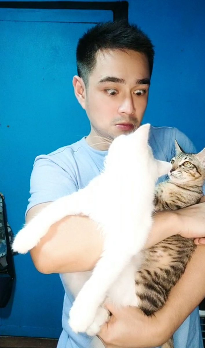 Markicarlos's tweet photo. 🐱💕 https://t.co/oWw8NBuqog
