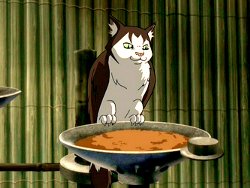 Selmat94's tweet photo. @hufftons Avatar the last airbender they exist https://t.co/JqqaTTo7Vh