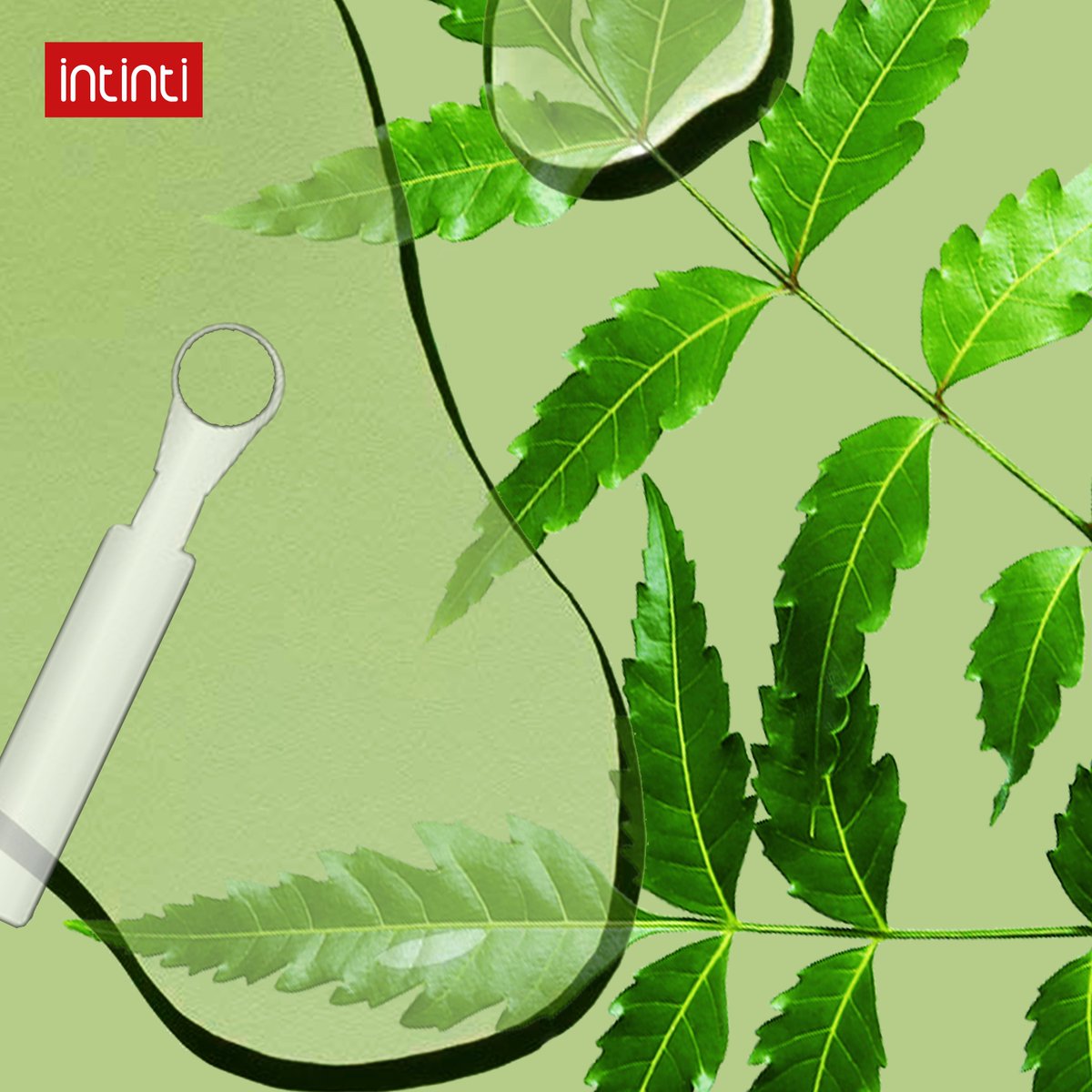 IntintiOfficial's tweet photo. Say NEEM-aste to a whole new goodness! Stay tuned, a new chapter loads tomorrow! #NeemasteIndia #VocalForLocal #NeemGoodness #NeemLove #Neem #Care #Safe #Hygiene #Intinti @ProCinta_Offl https://t.co/O5uITaybnH
