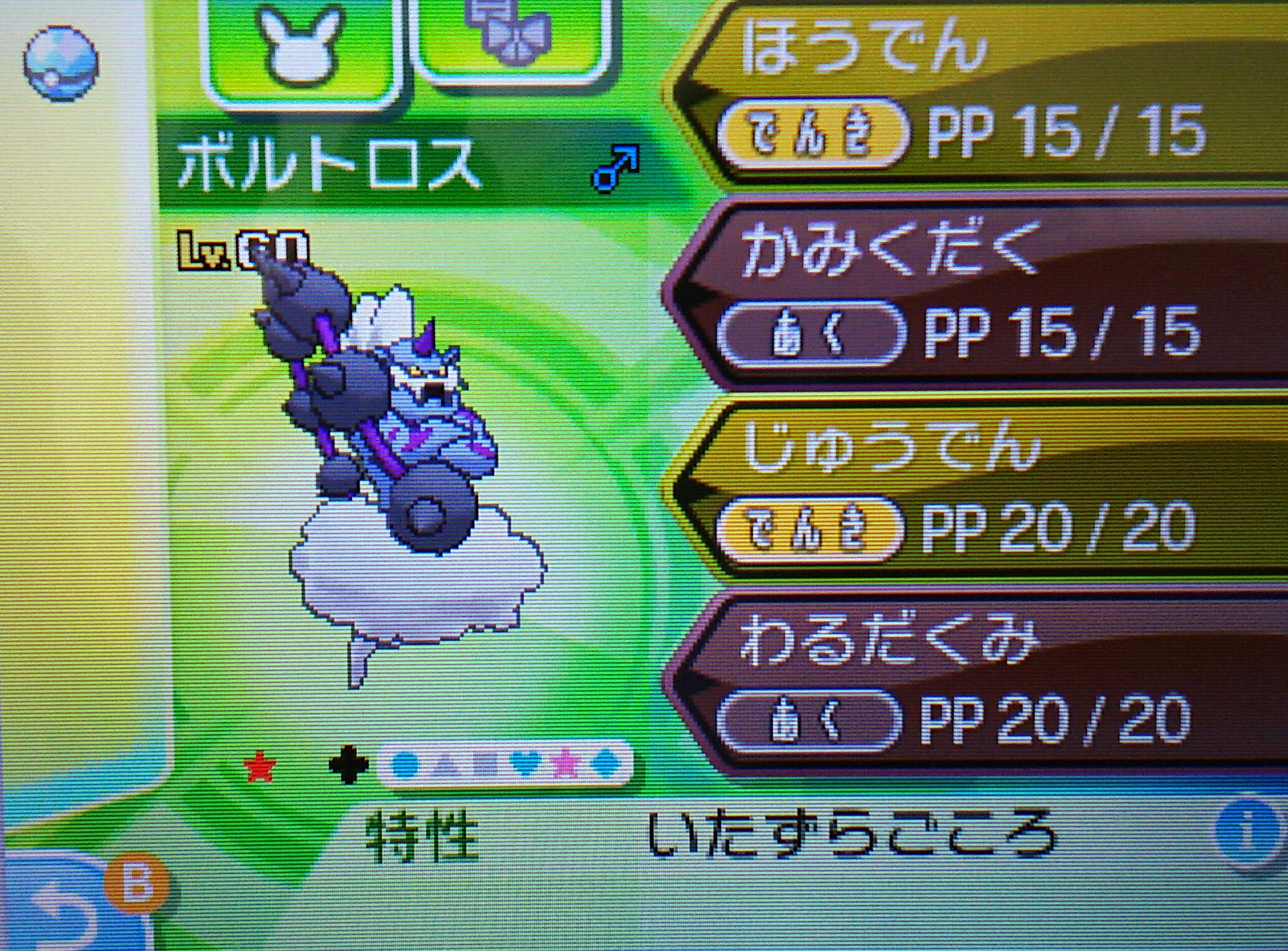 炎龍 Enryu Sur Twitter 今日紹介するのは色違いボルトロス 今週も化身フォルムと霊獣フォルム 同時にお届け 一気に流すのでtl荒らしすみません 炎龍の色違い紹介 色違いボルトロス T Co 7jknmwrrsu Twitter