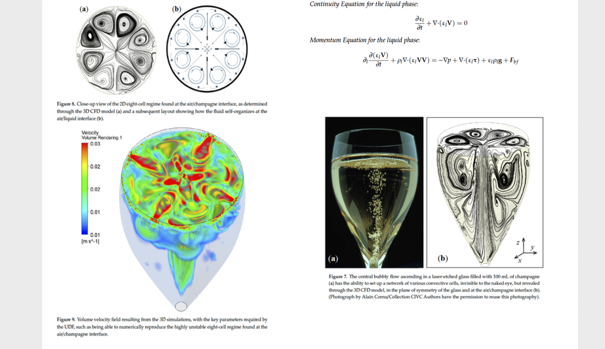 we The Fascinating Science Of Bubbles Investigating Self Organized Ascending Bubble Driven Flow Patterns In Champagne Glasses By Gerard Liger Belair Guillaume Polidori And Fabien Beaumont T Co G6pkm9226n T Co