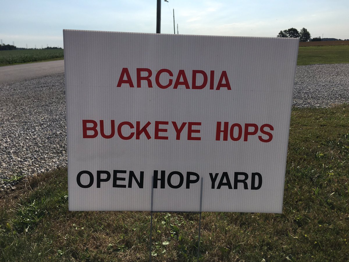 ArcadiaHops's tweet photo. A great day to visit the Hop Yard & experience agriculture in action. Open Hop Yard 10-2. Stop out & see the process of growing Ohio Hops. @CareyBrewing is on site & ready to answer questions - the Brewery will be opening soon! #OhioHops #drinkbeergrownandmadehere #drinklocal https://t.co/gQApGxS1zn