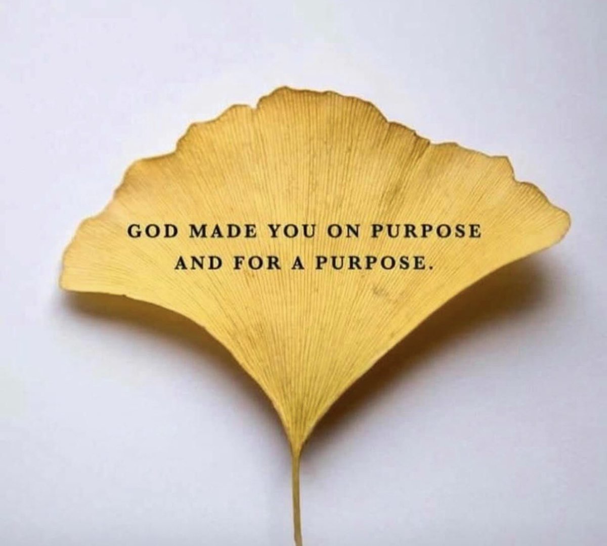 THELAMBUK's tweet photo. Amen, thank you LORD GOD!✝️🔥 #GOD #GOD1st #purpose #PraiseGod #GodisGood #GodisLove #TrustGod #GodOfCompassion #LoveGod #Father #FatherGod #ElShaddai #JesusChrist #JesusSaves #JesusFlippedTheSwitch #HolySpirit #RuakhGod #GodOfEnergy #GodOfGoodness https://t.co/eA5eCIJ5Vt