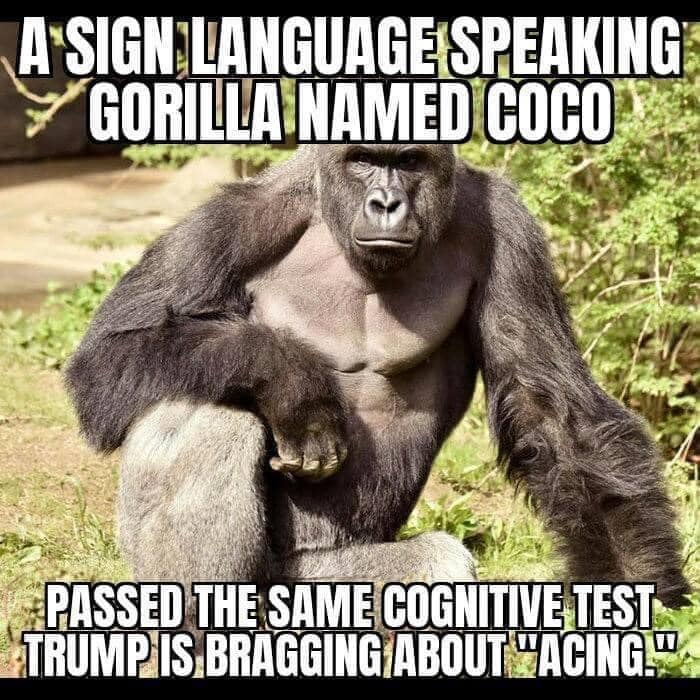 MargTennier's tweet photo. @realDonaldTrump https://t.co/ZqPjXHSTup