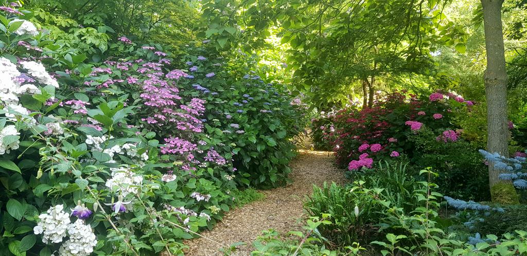 bloominBridget's tweet photo. Started working in the wood @ERustonOldVic.  In parts it's looking rather mezmerizing in the afternoon sun thanks to @ianscottroofe @haplesshort @DannyBunting1, Scotty and @AnnaPerrott1. https://t.co/EMhoelV0WK