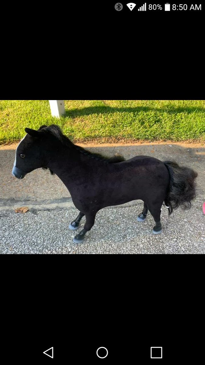 pioneer_susie's tweet photo. Just spotted this toy horse on Facebook marketplace. Anyone else think this is a great prompt for a #scalechat? #MTBos #iTeachMath @Trianglemancsd https://t.co/wTttv61T29