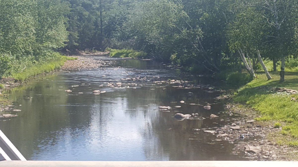 PertRubyTuesday's tweet photo. The Newcastle Stream in Minto is extremely low too. https://t.co/lGdMRgLWqA