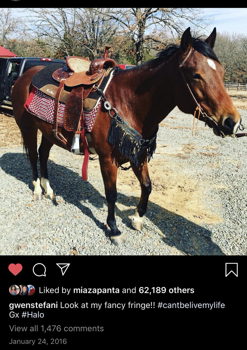 Out with their his & hers horses (Halo & Halo’s bf) Jan 2016