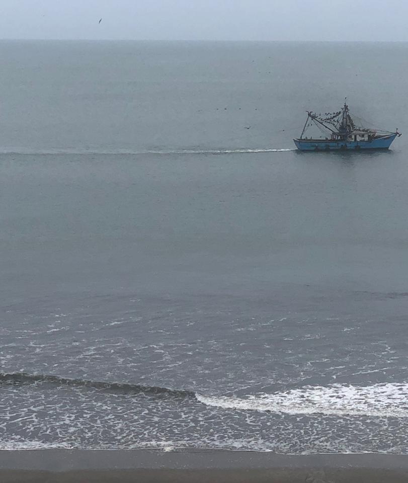 LuisCasis20's tweet photo. Mira lo que está causando eso barcos en la playa de Gorgona, 
Después del Río Gorgona hacia punta chame @AMP_Panama @ProtegeryServir @proteccioncivil. https://t.co/1TOBymPctt